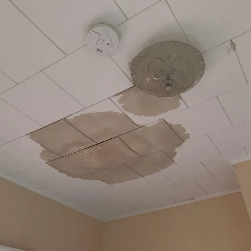 Ceiling Water Damage Repair in Fletcher, OK