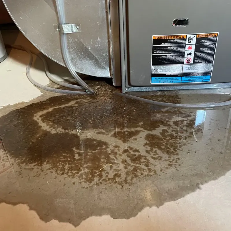 Pipe Burst and Leak Restoration in Fletcher, OK